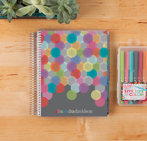 Erin Condren Life Planner