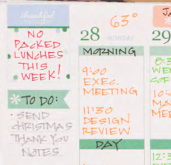 Erin Condren Life Planner Review