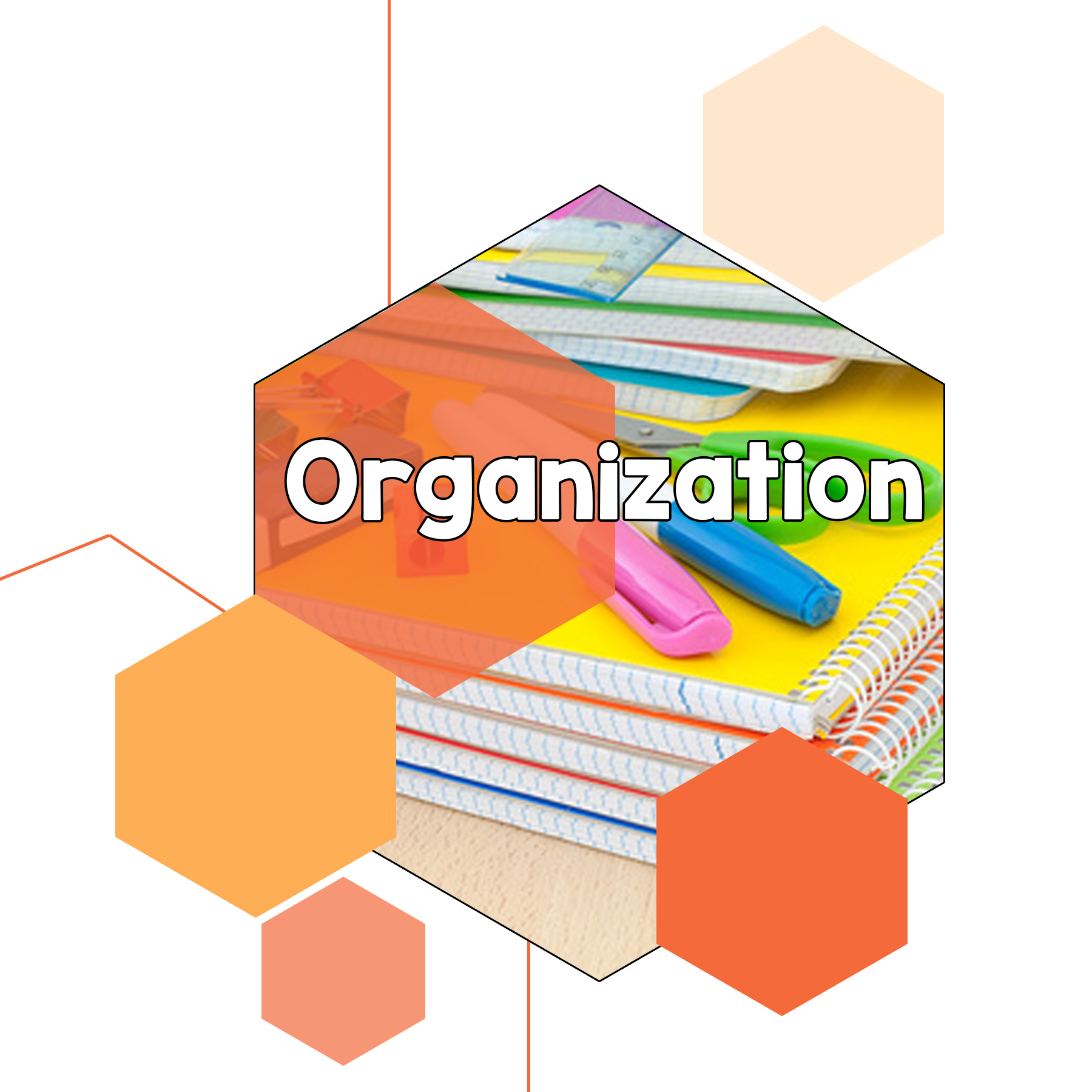 Organization