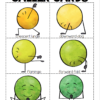 Yoga for Kids Complete Bundle - Image 6